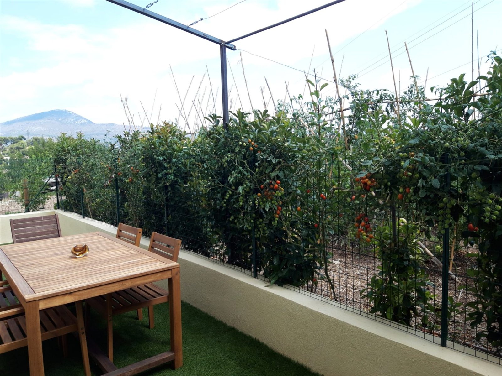 La table et les chaises en bois sur la terrasse, le long du potager