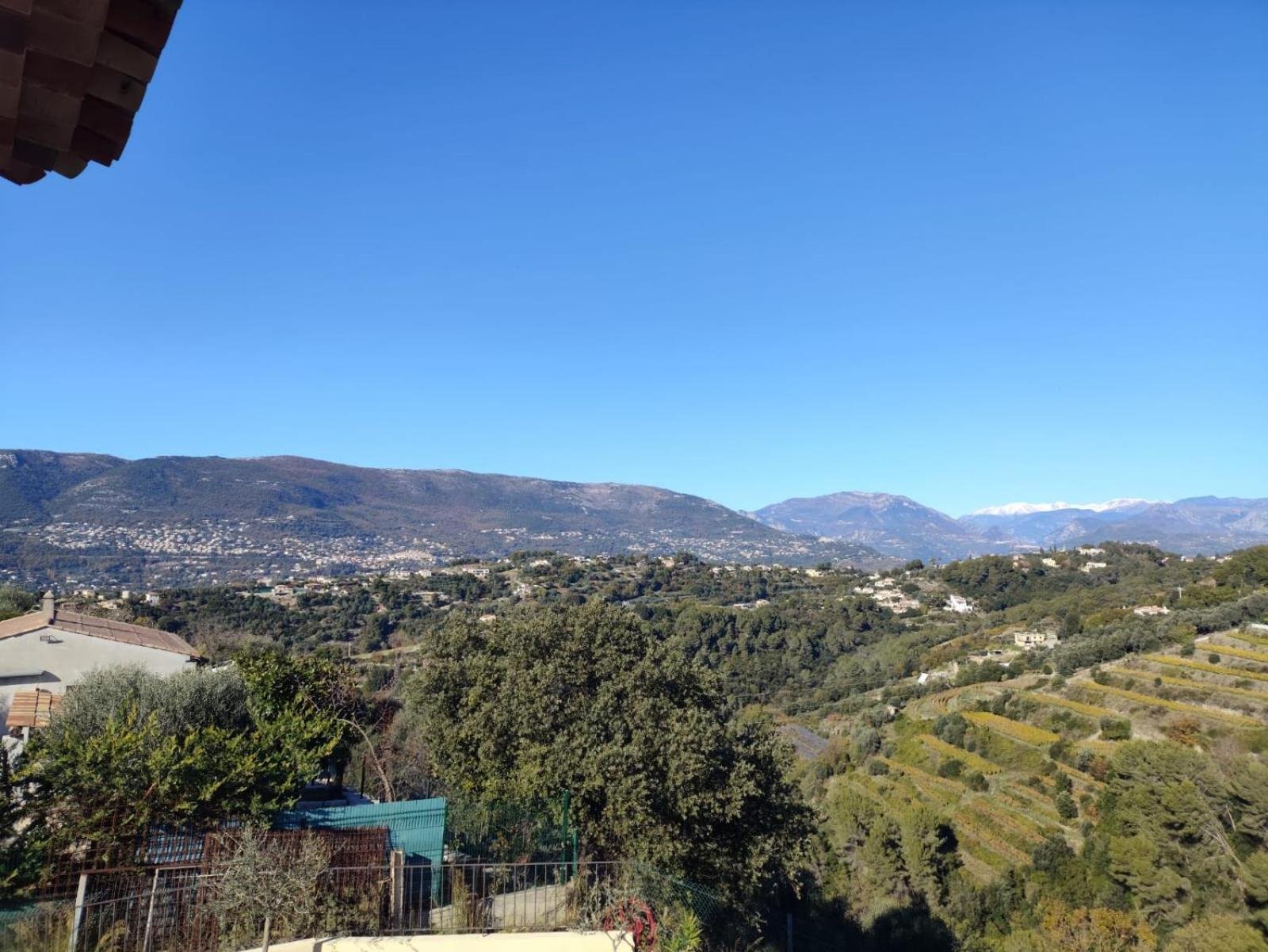 Panorama sur les vignes en terrasses et les sommets enneigés du Mercantour