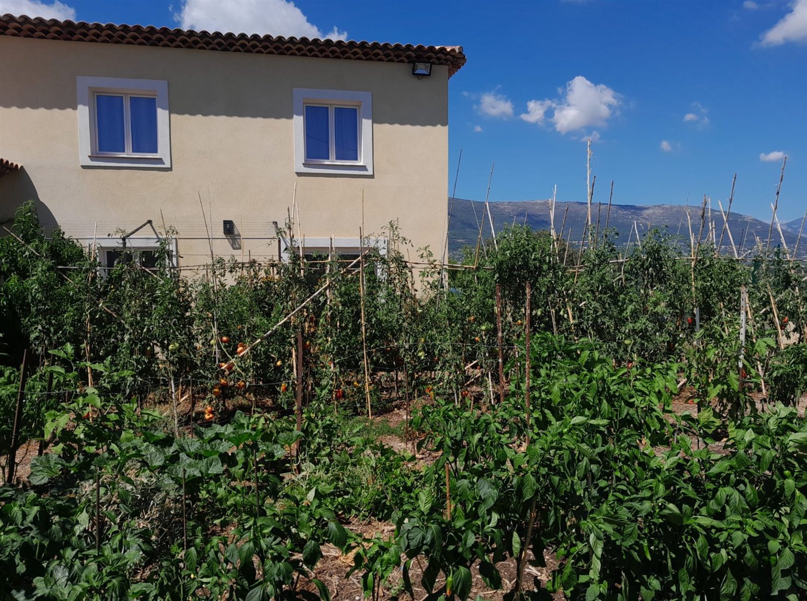 La maison du gîte derrière le potager, face aux collines