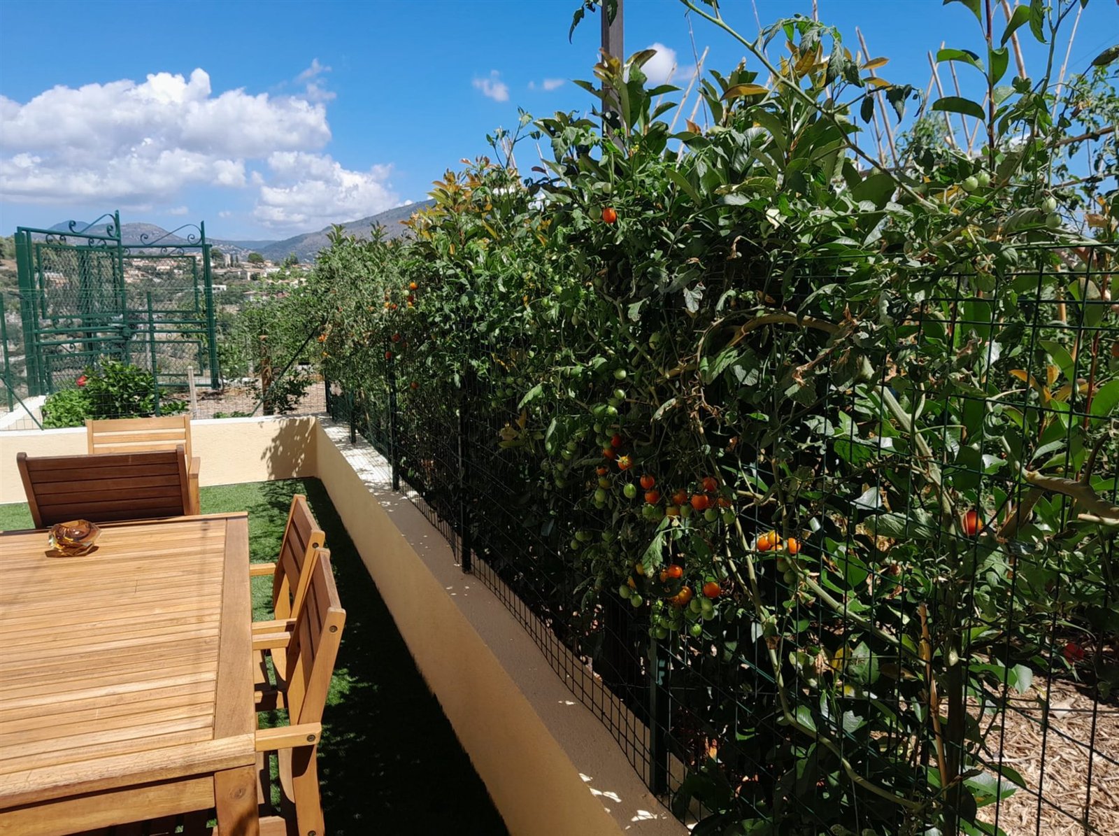 La terrasse en bois bordée de tomates cerises, face aux collines